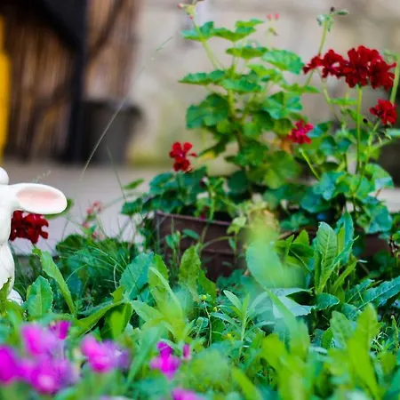 Maris ゲストハウス オブゾー