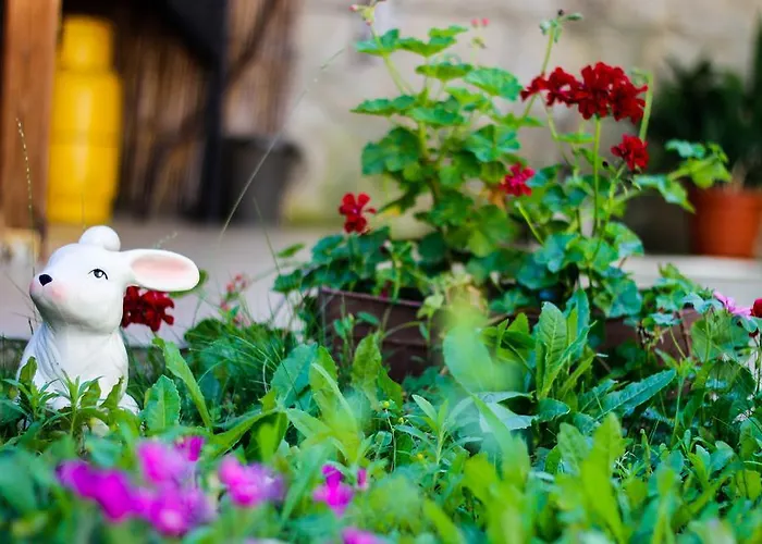 Maris Gæstehus Obzor